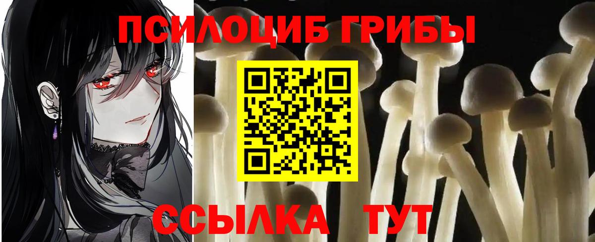 Псилоцибиновые грибы мицелий  Вход с VPN  наркотики  Гурьевск  Псилоцибиновые грибы ЛСД 